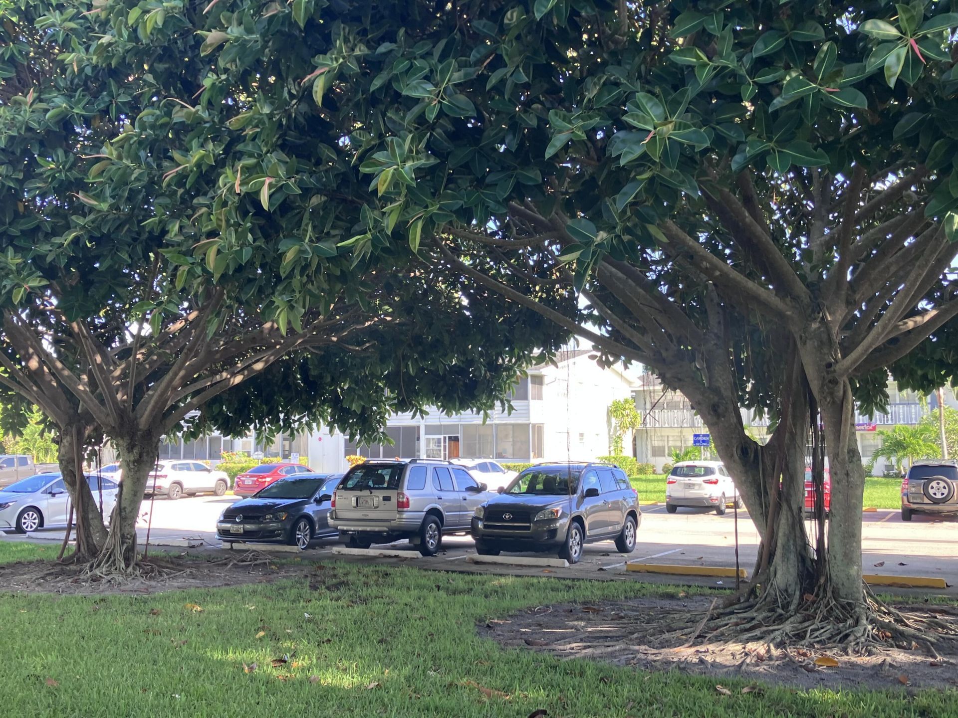 202 Camden I, West Palm Beach, FL 33417 Photo