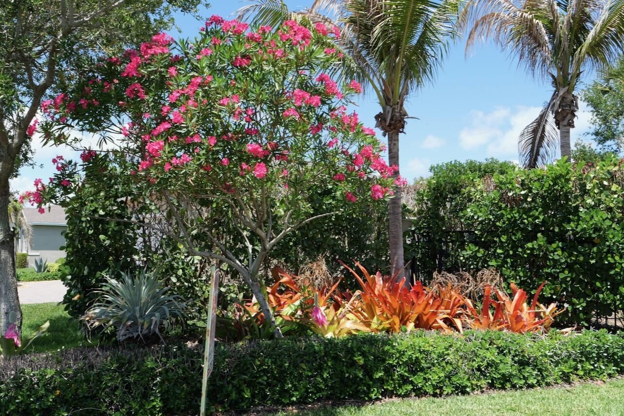 1753 NE White Pine Terrace, Ocean Breeze, FL 34957 Photo