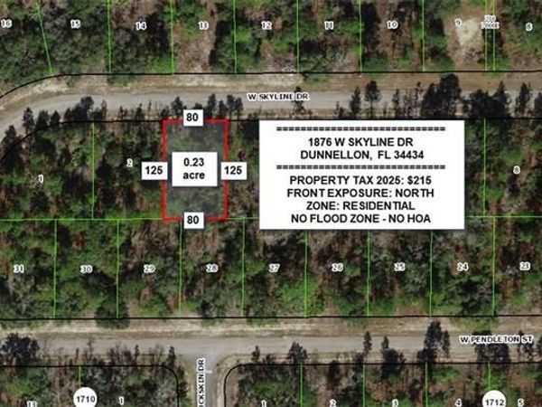 1876 W Skyline DR, DUNNELLON, FL 34434