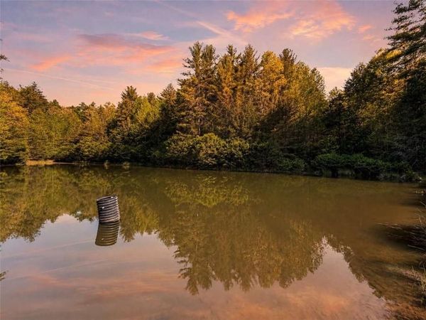 40 AC Valley Lake Road , Mineral Bluff, GA 30559