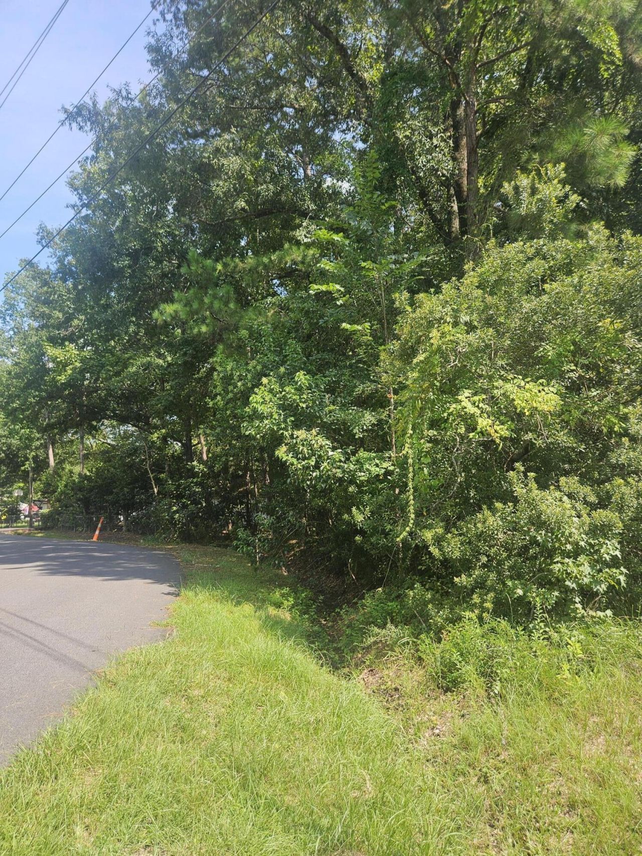 423 S Pandora Drive Photo 4