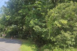423 S Pandora Drive photo 4