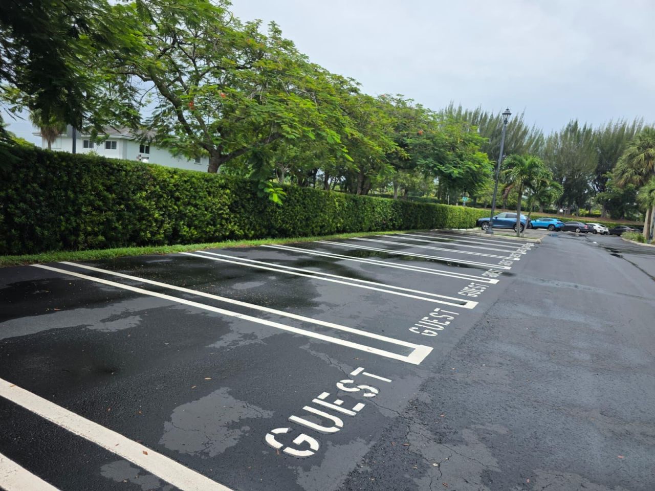 7915 Camino Real, Unit Apt N416, Miami, FL 33143 Photo