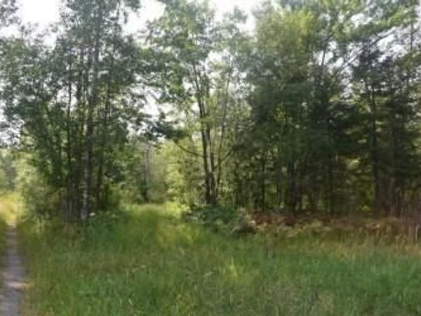 15690 330th Street , McGregor, MN 55760