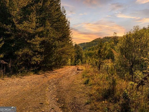 40 AC #2 Valley Lake Road, Unit MULTIPLE, Mineral Bluff, GA 30559