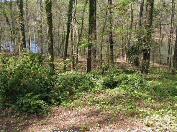 LOT56H Hawthorne Drive, Waverly Hall, GA 31831