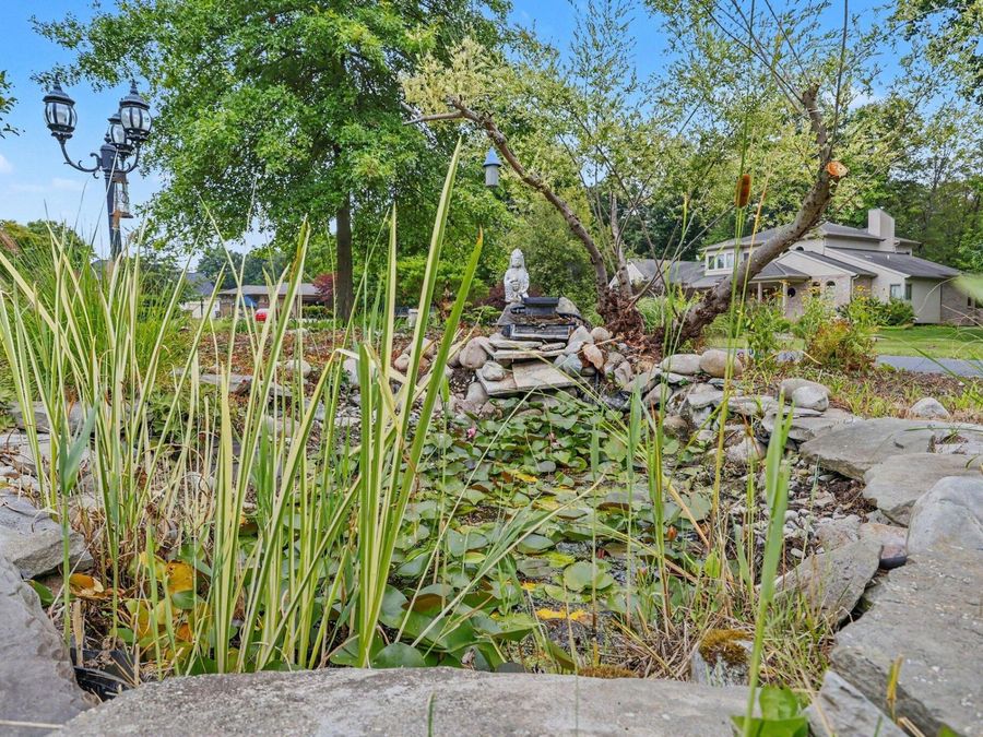 Property Image 79