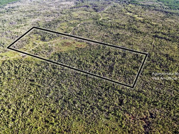 TBD W US HWY 27, Mayo, FL 32066