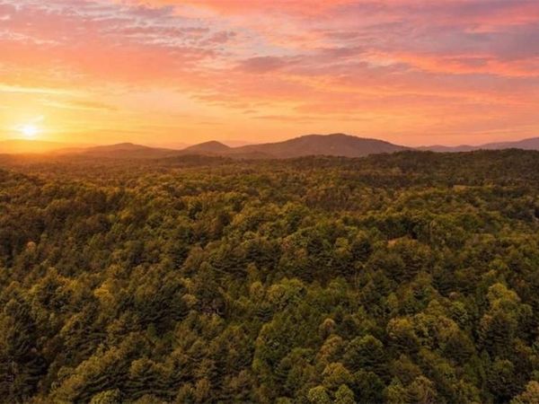 40 AC Valley Lake Road, Mineral Bluff, GA 30559