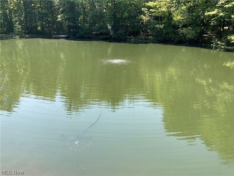 15585 Kidd Drive, Newbury, OH 44065 Photo 2