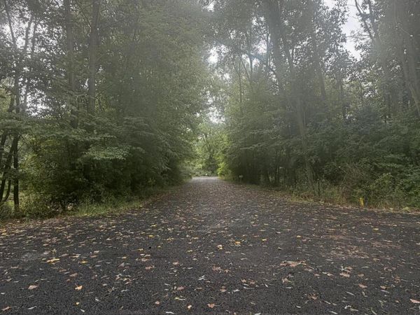 Heather Ridge Road, Unit lot 6 Phas, Marshall, MI 49068