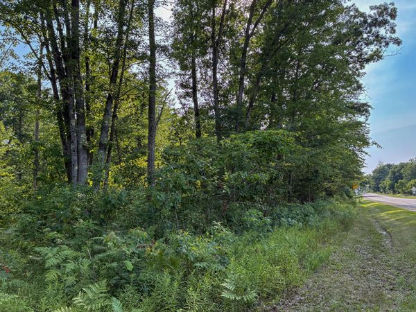 V/L E Jackson Street, White Cloud, MI 49349