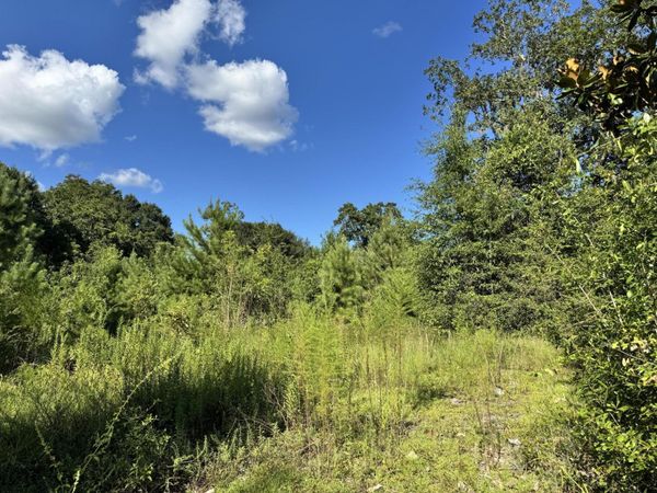 14 15 16 4th Avenue, Florala, AL 36442