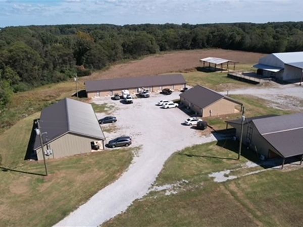 6810 Co Rd 91, Rogersville, AL 35652