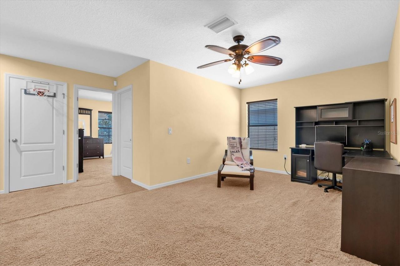 1307 Ketzal Drive, Trinity, FL 34655 Photo