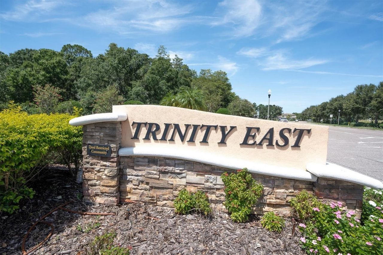 1307 Ketzal Drive, Trinity, FL 34655 Photo