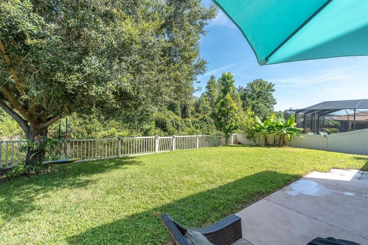 1307 Ketzal Drive, Trinity, FL 34655 Photo
