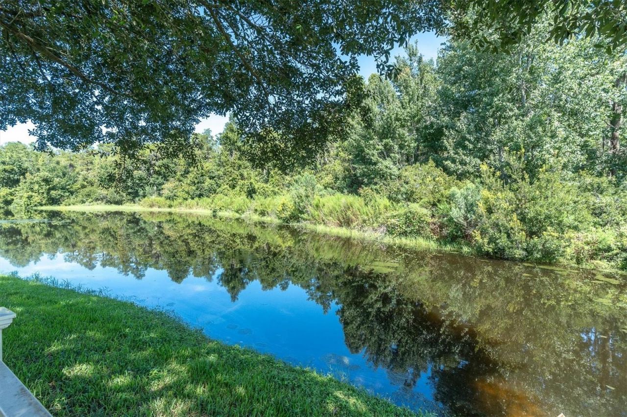 1307 Ketzal Drive, Trinity, FL 34655 Photo