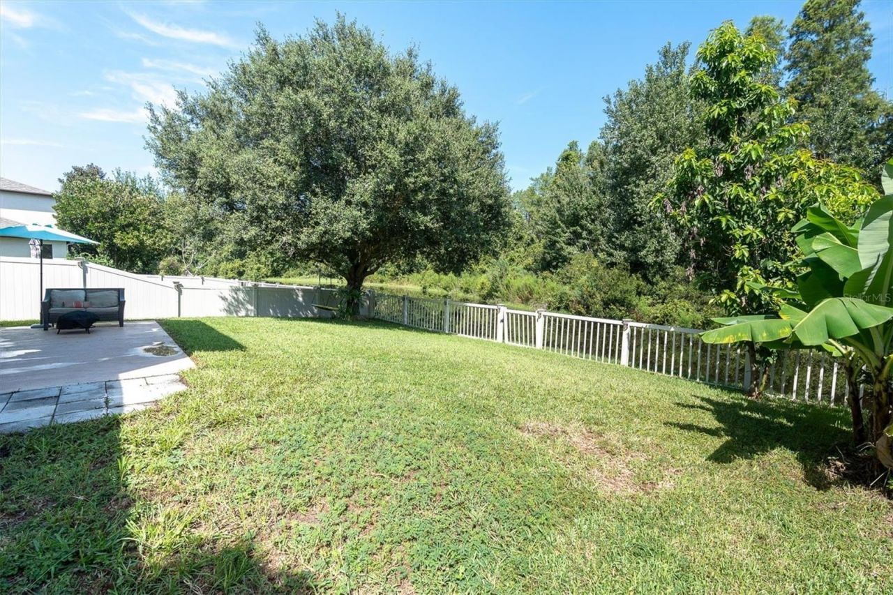 1307 Ketzal Drive, Trinity, FL 34655 Photo