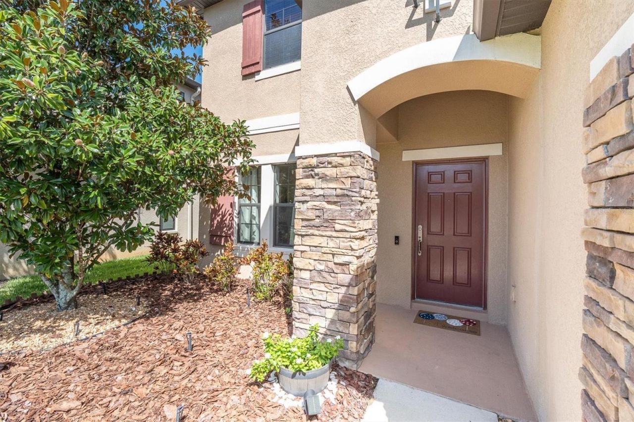 1307 Ketzal Drive, Trinity, FL 34655 Photo