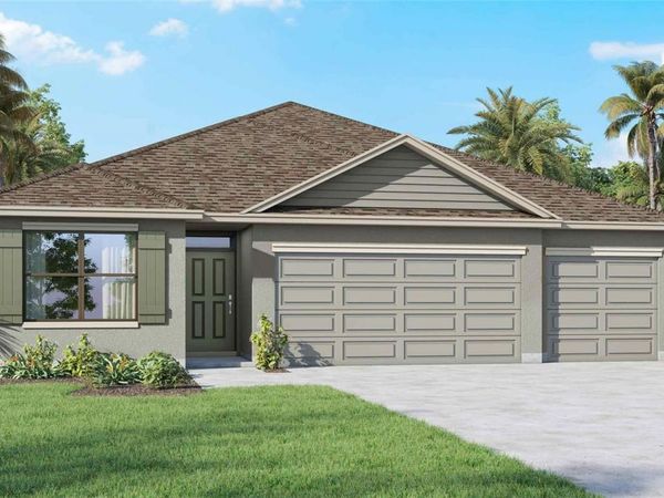 1212 ALPINE ASH PLACE , RUSKIN, FL 33570