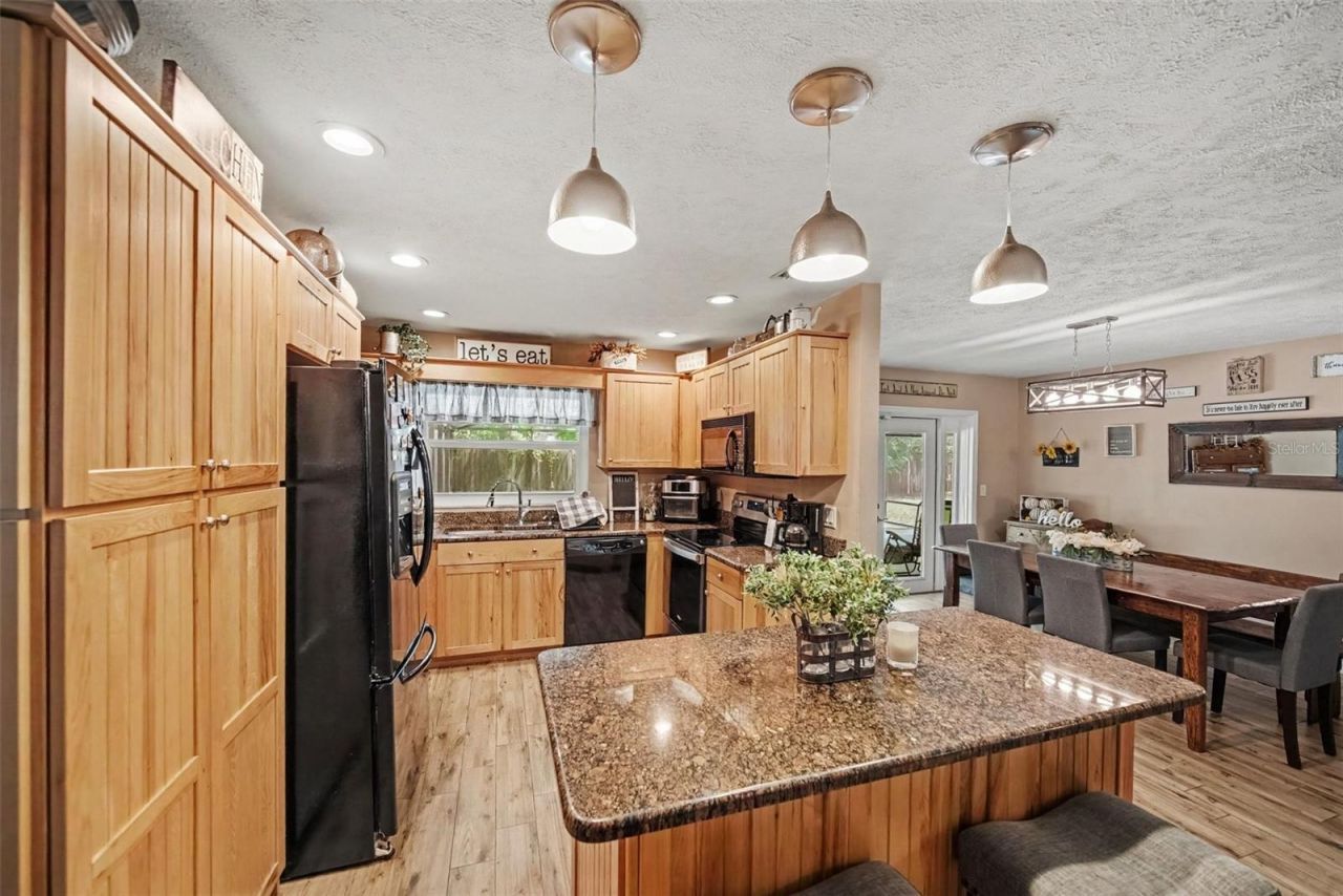 206 Jacob Ryan Court, Brandon, FL 33510 Photo