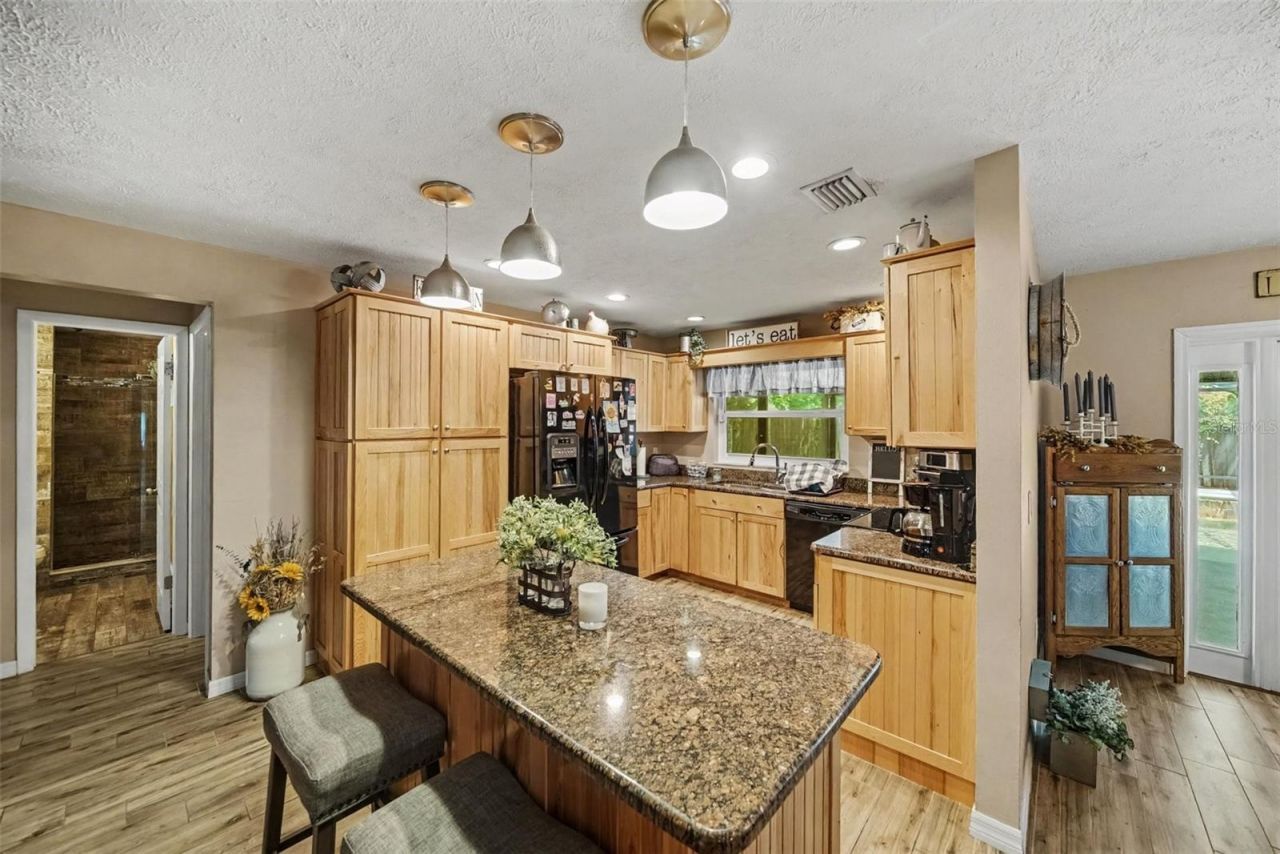 206 Jacob Ryan Court, Brandon, FL 33510 Photo