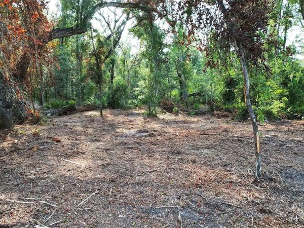 1615 NE 497TH STREET , OLD TOWN, FL 32680