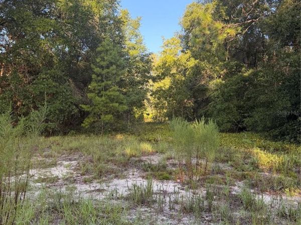 115 ORANGE TREE COURT , MELROSE, FL 32666