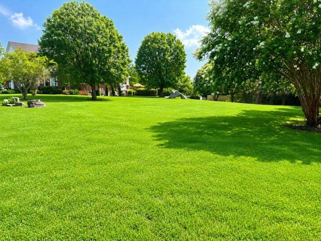 325 N Central Avenue, Lot #4, Watertown, TN 37184 Main Photo
