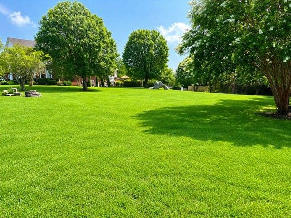 325 N Central Avenue, Unit 4, Watertown, TN 37184