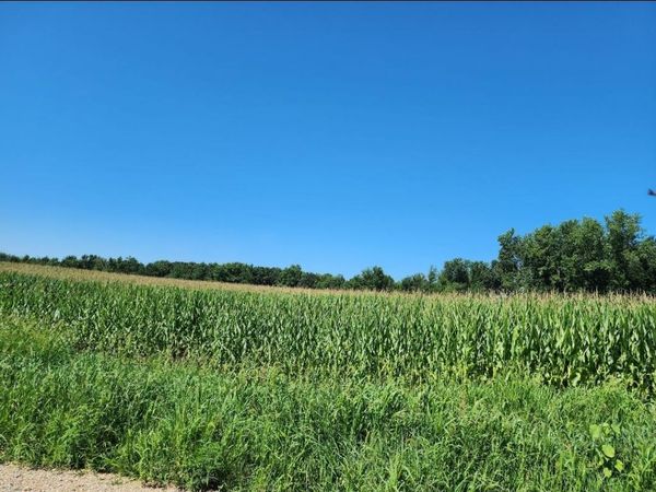 Root V/L Road, Constantine, MI 49042