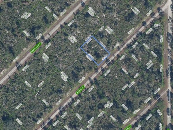 3517 HORNE STREET , Lake Placid, FL 33852