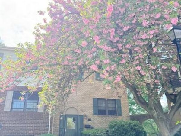 109 SWARTHMORE DRIVE, Unit 109, TOWSON, MD 21204
