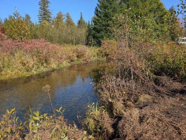 Lot 5 E Airport Drive, Atlanta, MI 49709