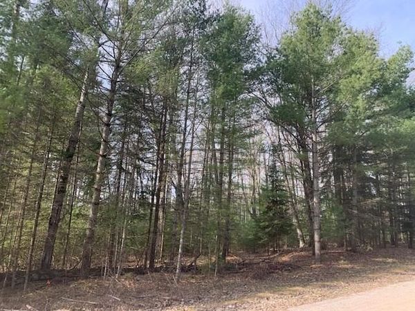 119-120 Ponderosa Drive, Lachine, MI 49753