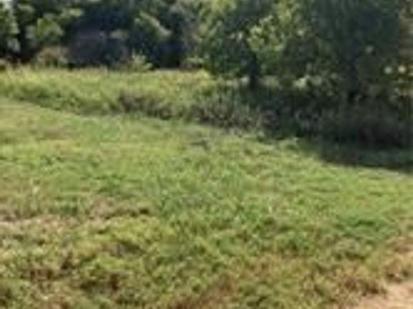 3202 S Central Avenue , Troy, TX 76579