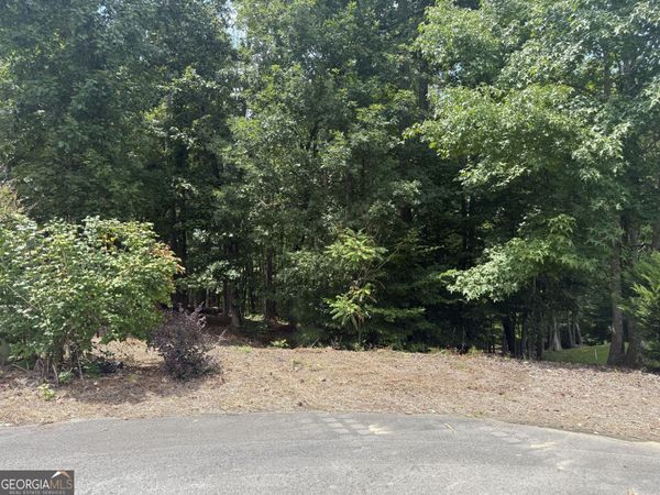 96 Battle Knoll, Dallas, GA 30157
