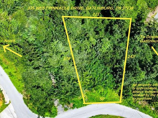 335 W Pinnacle Drive , Unit 2-Br, Gatlinburg, TN 37738