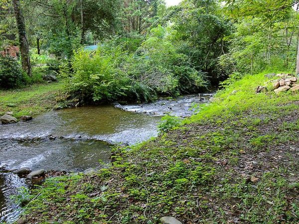 134 Wildwood Way , Gatlinburg, TN 37738