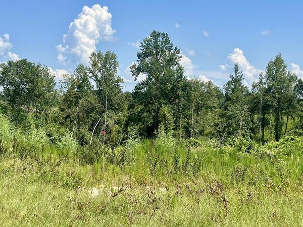 0 Co Rd 8, Vossburg, MS 39366