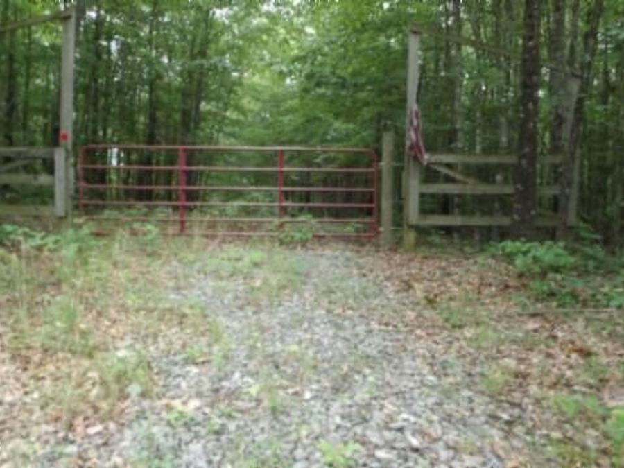 Property Image 17