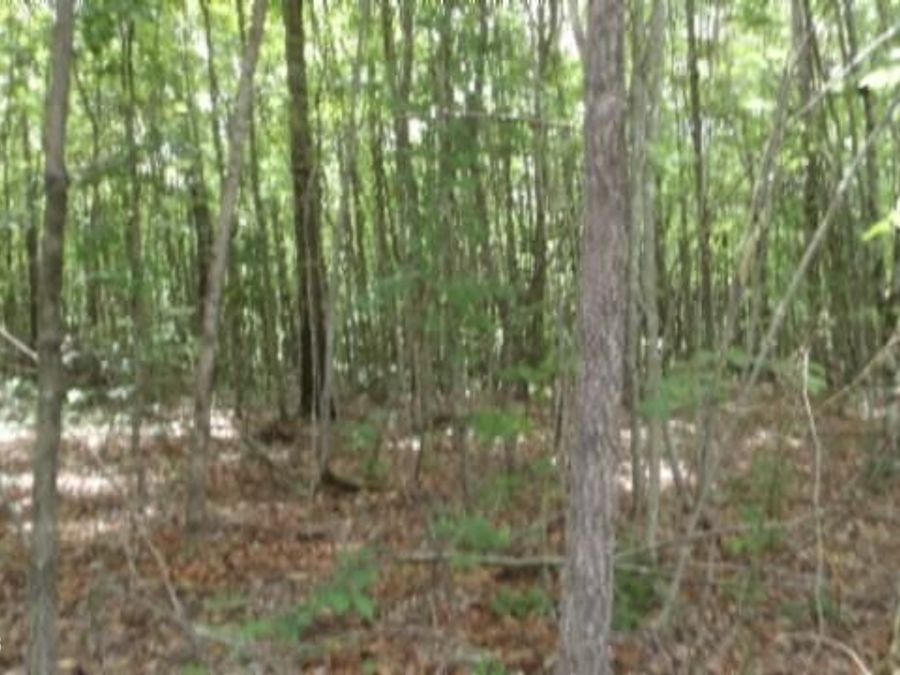 Property Image 8