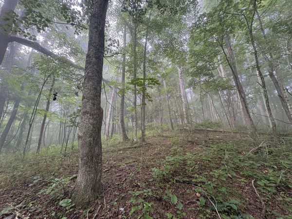 Sewell Mt Rd/ King Cemetery Rd, Sandstone, WV 24985