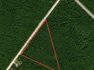 TBD Wolf Pit Bay Rd., Nichols, SC 29581