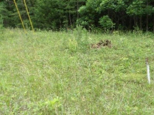 0 Parkstown Ext Rd , Unit 48, Wilder, TN 38589