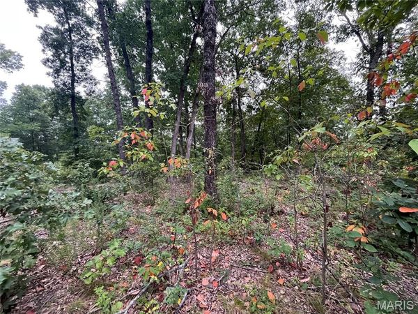 000 Partridge , Climax Springs, MO 65324