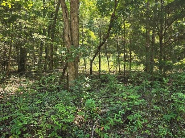 0001 County Road 421 , Birch Tree, MO 65438