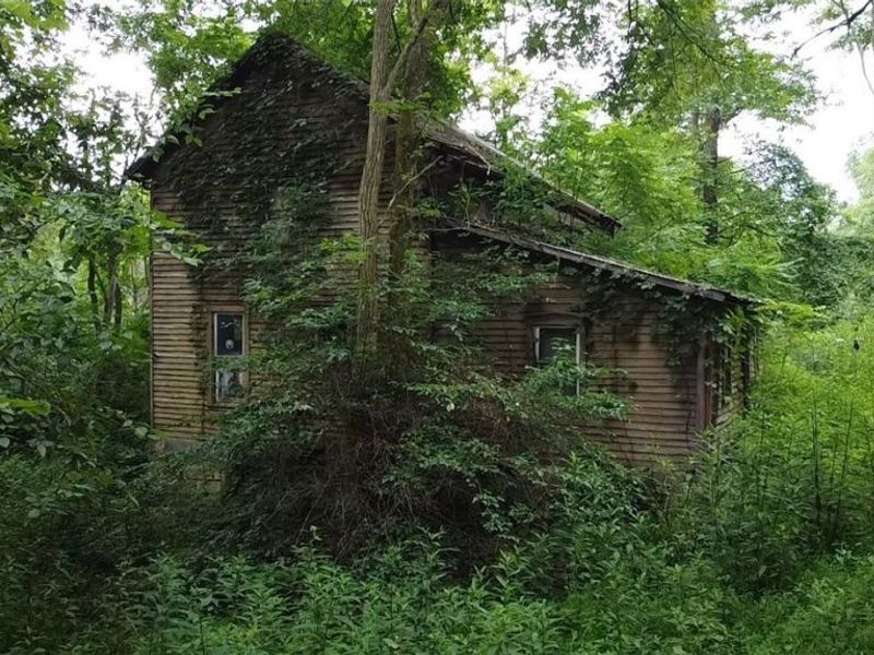 6248 Titko Ln (Twp. Rd. 80), Caldwell, OH 43724 Photo 4