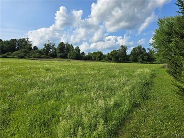 Berry Road, La Fayette, NY 13084